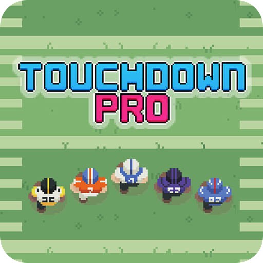 Touchdown Pro